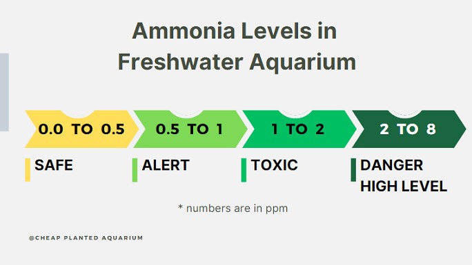 Ammonia Level in Freshwater aquarium