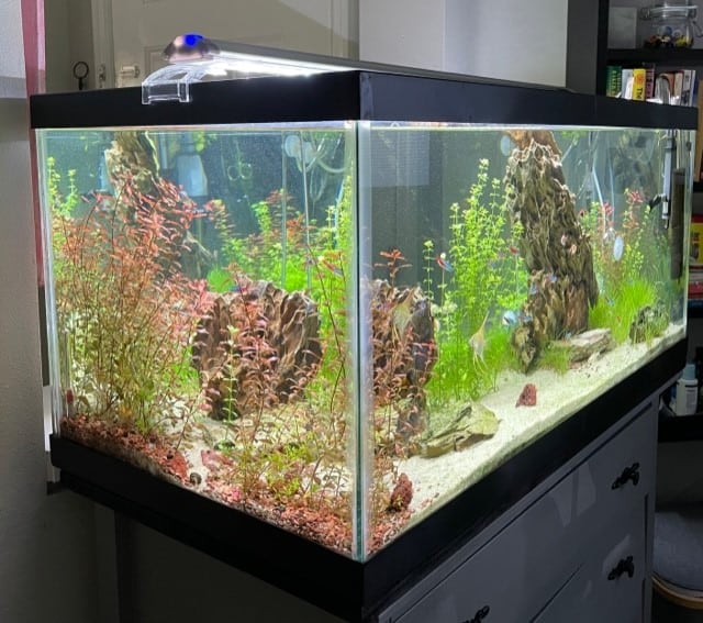 Planted Aquarium example