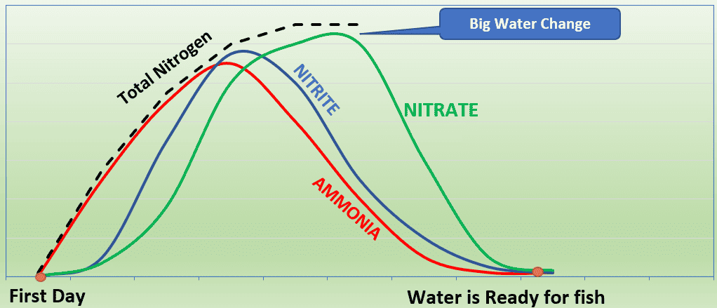 Naturally Accelerated Fish Tank Cycle