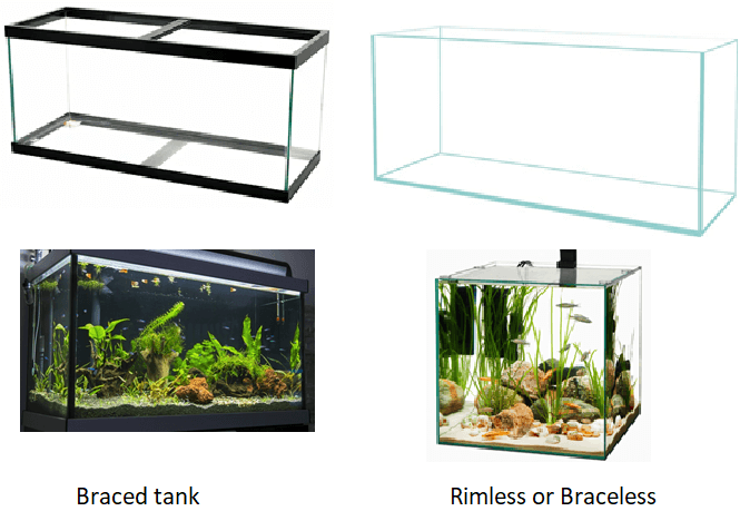 Rimmed or Braced Fish Tank and Rimless Fish Tank differences 