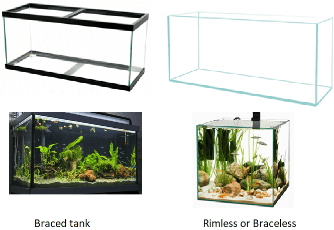How to setup a Freshwater Aquarium in 6 Steps - Only Essential