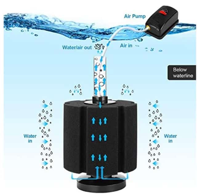 Sponger filter for aquarium