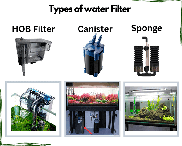Types of Water Filter HOB Canister and Sponge Filter