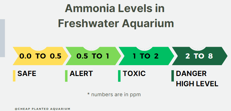 ammonia ppm levels in freshwater aquarium
