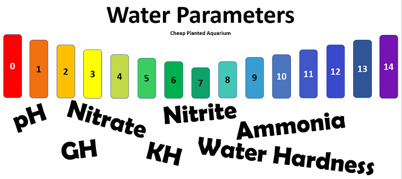 Water Parameters in Fresh Water Aquarium