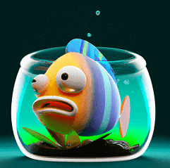 Aquarium Ammonia Levels