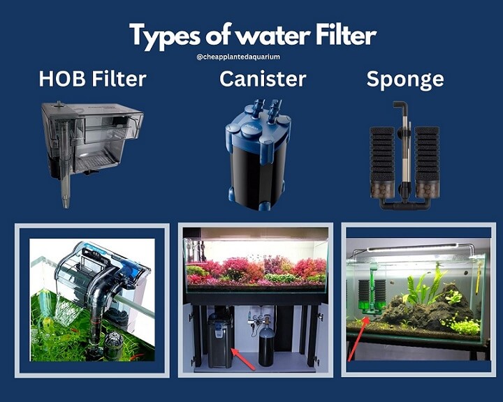 Types of Fish Tank Filter Comparison Chart