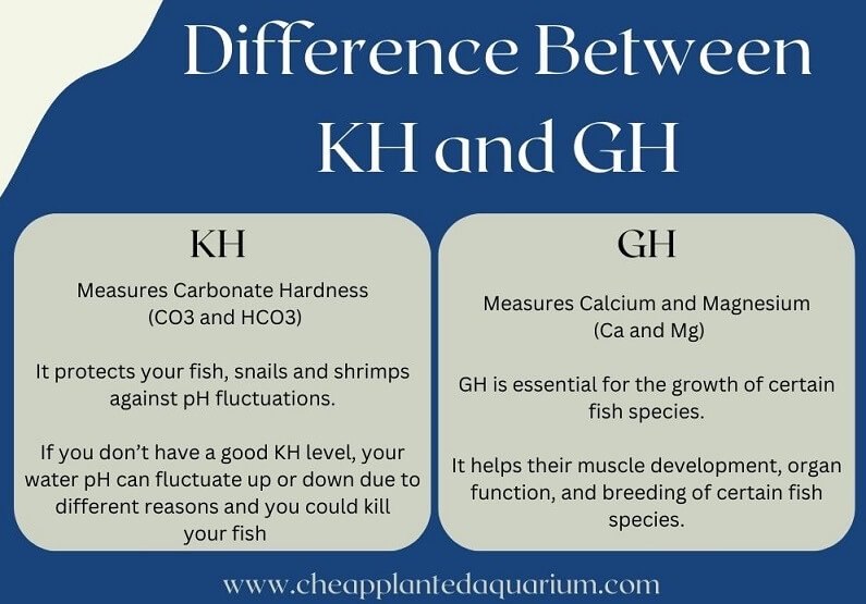 Difference Between KH and GH