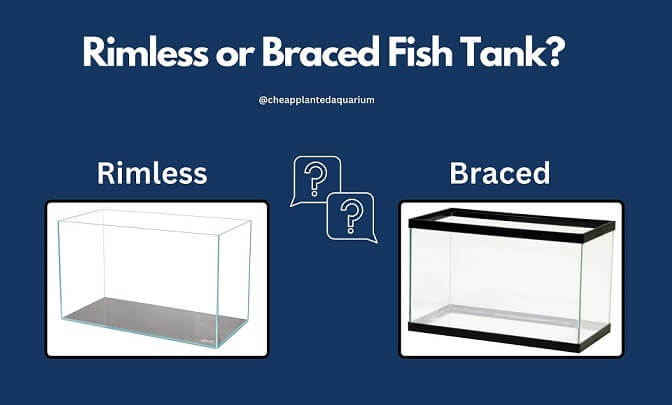 Rimless or Braced Fish Tank? Which One?