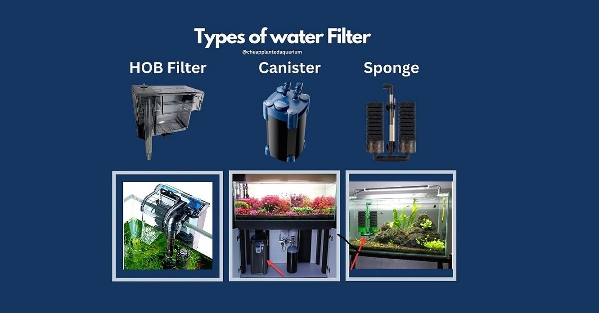 Types of Fish Tank Filter-Comparison Chart smaller