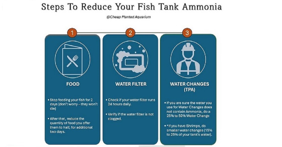 Steps to reduce your fish tank ammonia - smaller