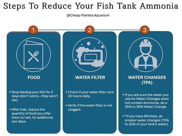 Most Important Steps to reduce your fish tank ammonia
